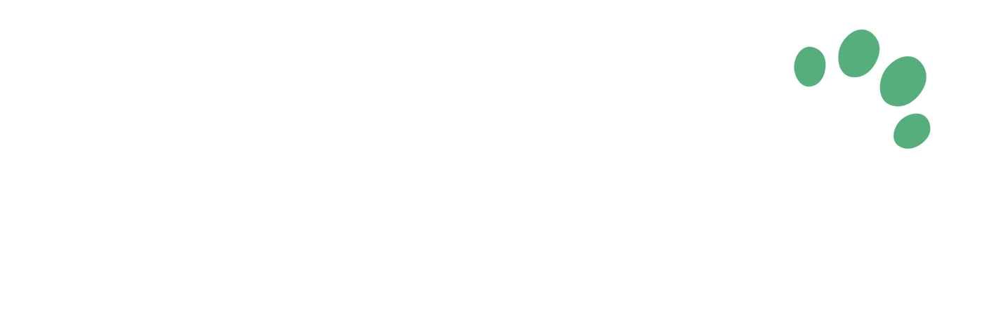 asset 16 0001 asset 30