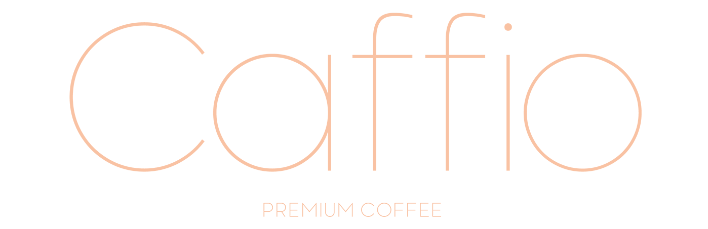 asset 16 0021 asset 10